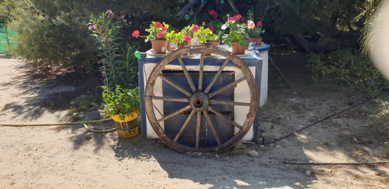 En Finca Las Dunas Dos Chalets Con Jacuzzis En Primera Linea De Playa , Uno De 4 Dormitorios Y Otro De 2 Dormitorios, Llama Al Seiscientos Veintisiete Cuatrocientos Diecisiete Trescientos Noventa Y Ocho Rota Buitenkant foto