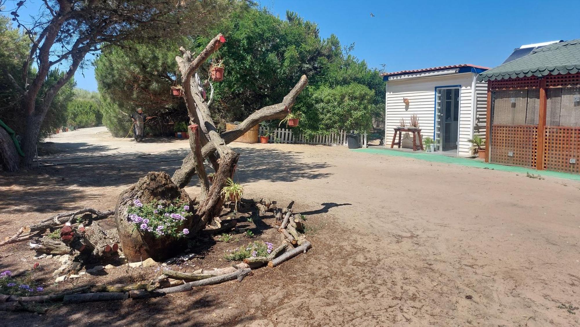 En Finca Las Dunas Dos Chalets Con Jacuzzis En Primera Linea De Playa , Uno De 4 Dormitorios Y Otro De 2 Dormitorios, Llama Al Seiscientos Veintisiete Cuatrocientos Diecisiete Trescientos Noventa Y Ocho Rota Buitenkant foto
