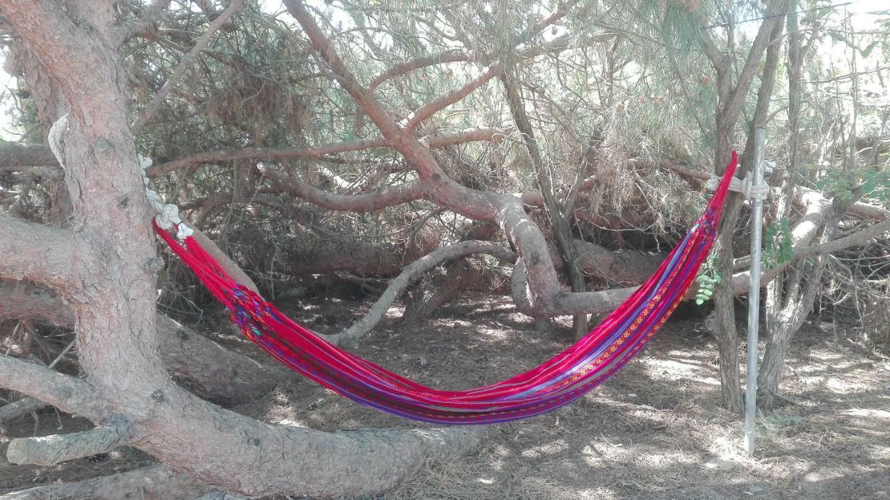 En Finca Las Dunas Dos Chalets Con Jacuzzis En Primera Linea De Playa , Uno De 4 Dormitorios Y Otro De 2 Dormitorios, Llama Al Seiscientos Veintisiete Cuatrocientos Diecisiete Trescientos Noventa Y Ocho Rota Buitenkant foto